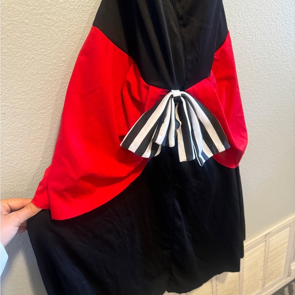 Pirate Costume - Picture 6 of 10